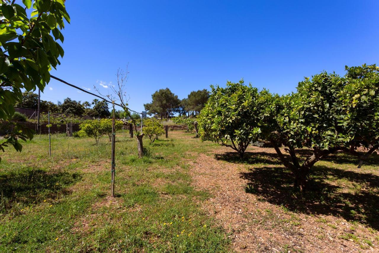 Sa Caseta Ferienhaus Llubí