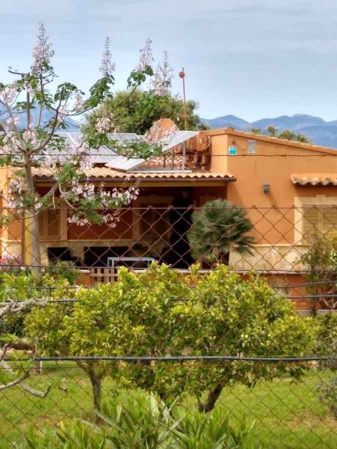 Sa Caseta Hébergement de vacances Llubí